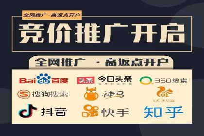 精准营销：百度推广平台的成功案例解析